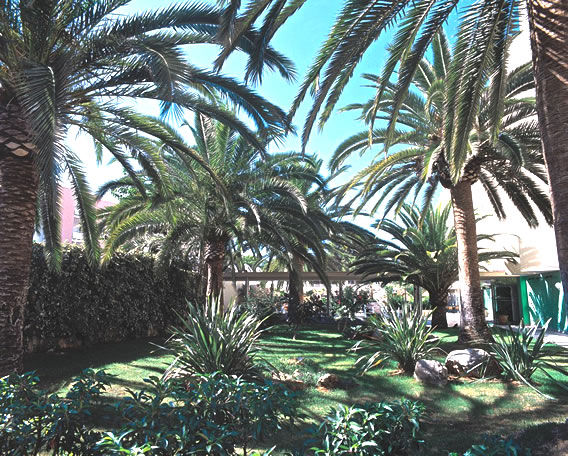 Hotel Palmira Isabela 3*