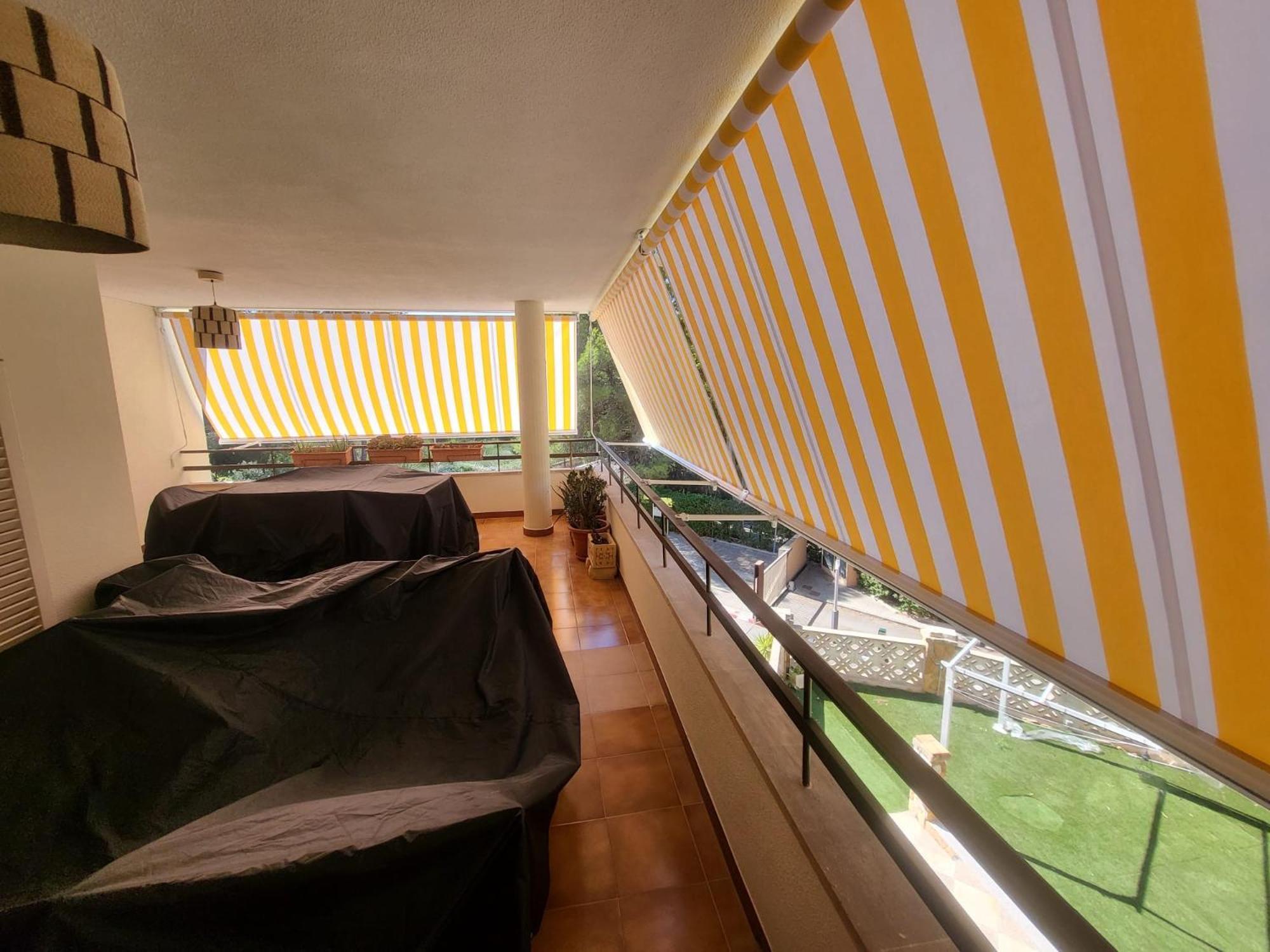 Urlaub Mit Und Freunden Apartment