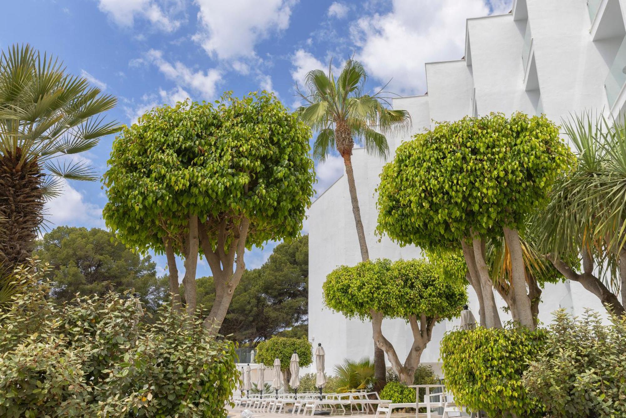 Hotel Hm Isabela-adults Only Santa Ponsa