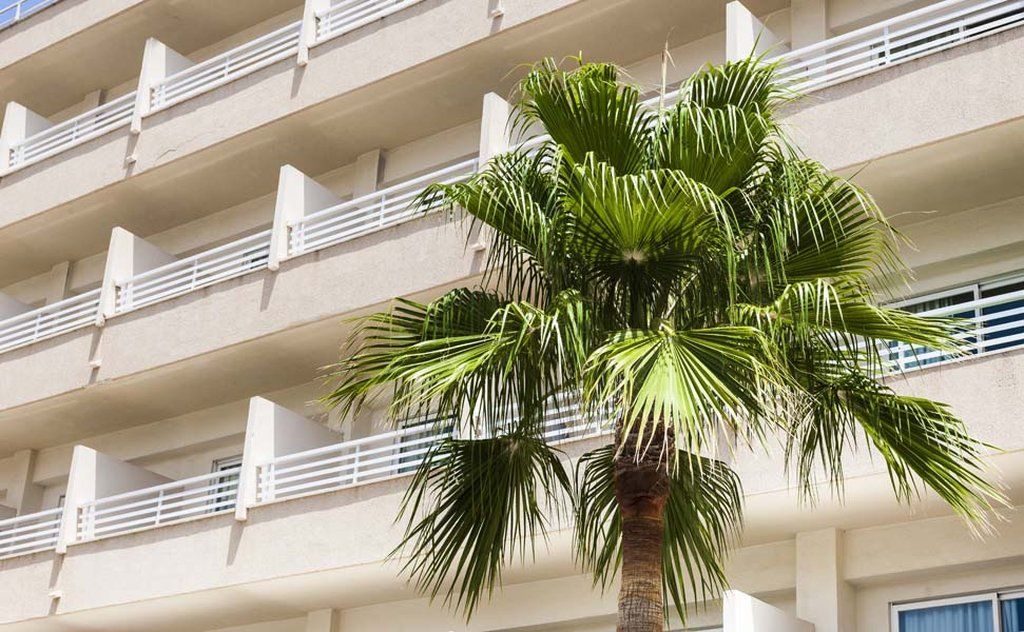 Globales Park 4*