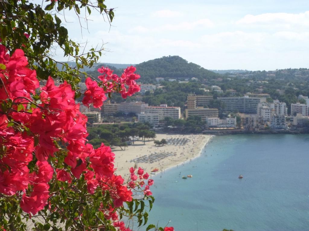Xaloc 4 Apartment Santa Ponsa