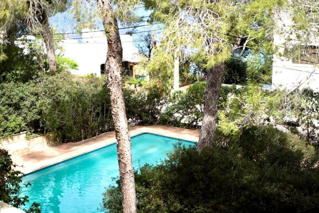Villa Marta, A Fantastic By The Sea Santa Ponsa