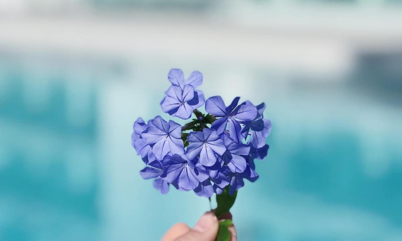 Sky Senses Hotel