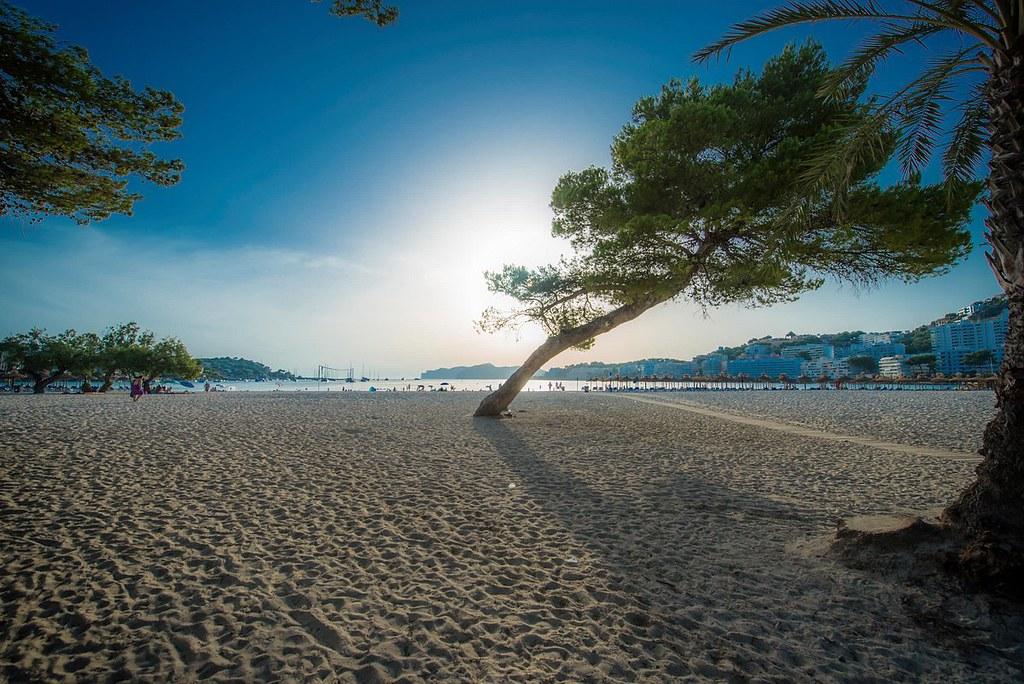 Apartment Flipflop Surfing Playa Santa Ponsa
